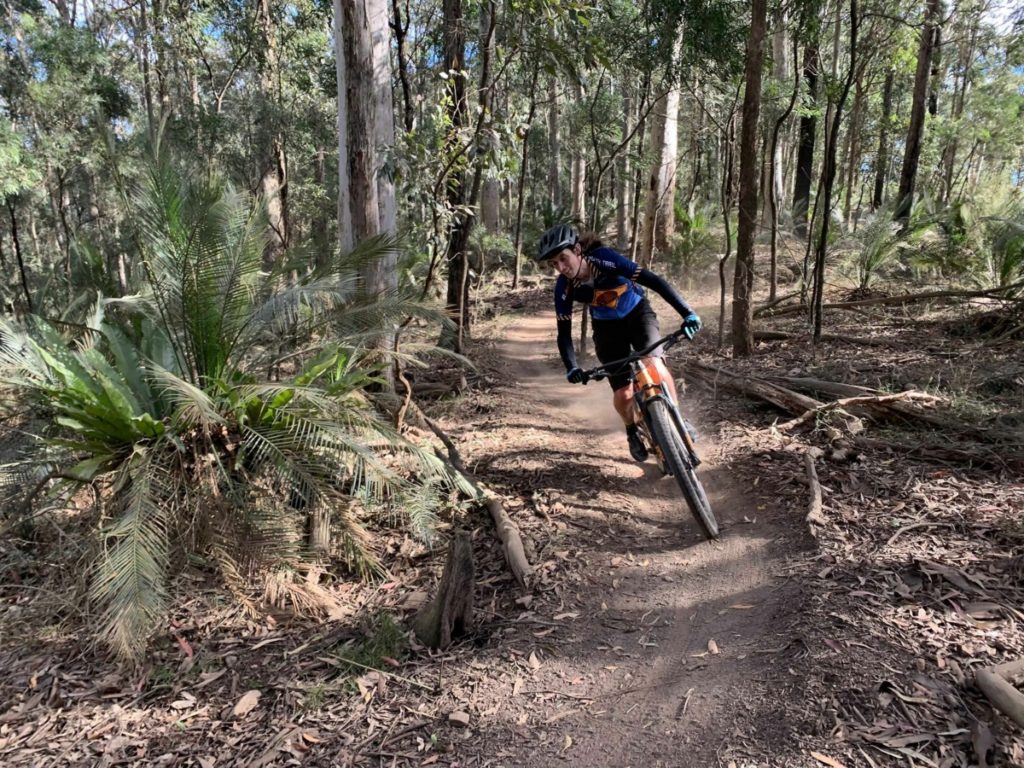 Mogo state forest has been awarded 3 million dollars to establish an adventure mountain bike trail to help recover from bushfires and bring tourists back