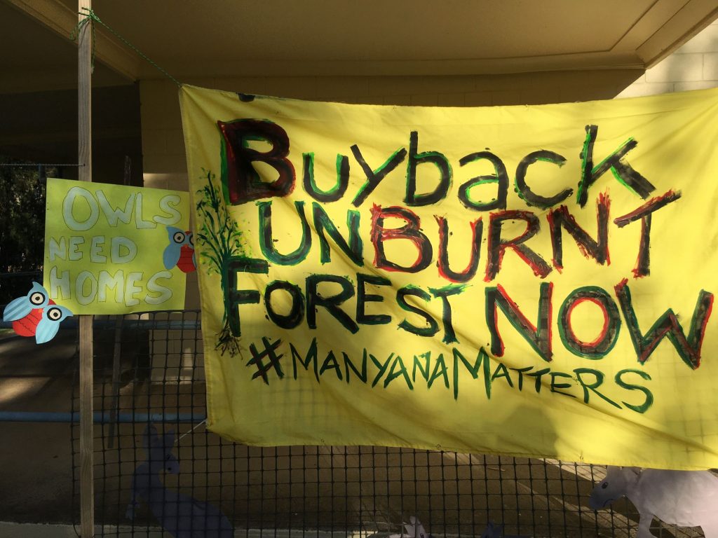 the Manyana Matters campaign wants Shoalhaven City Council to contribute to the buyback of unburnt land