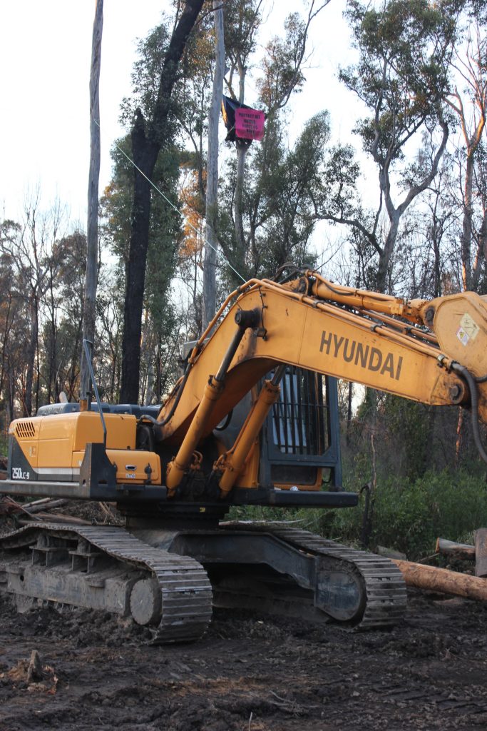 protesters are hindering machinery from logging work in Mogo State forest