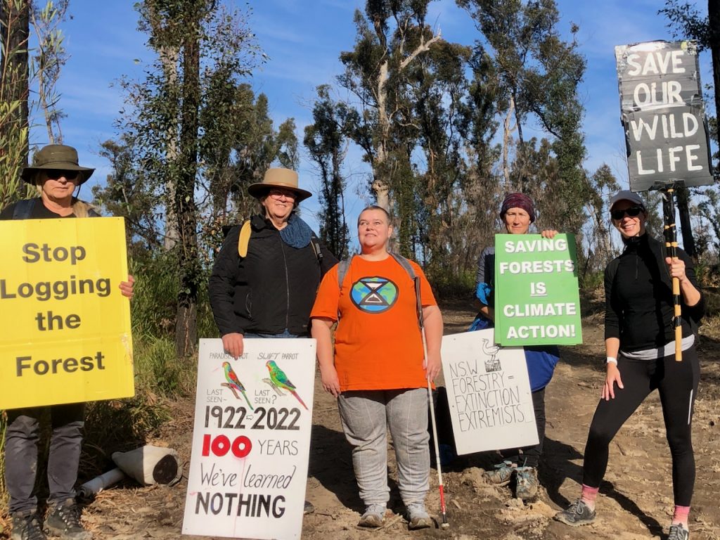 Protesters demanding an end to native forest logging to protect our environment for the future