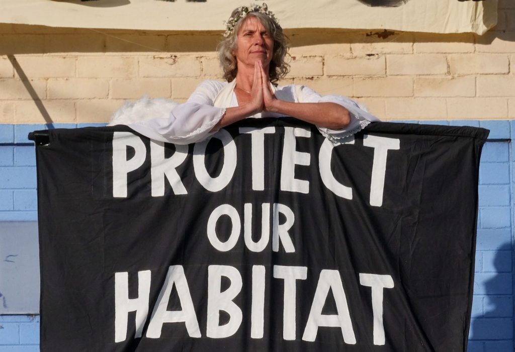 XR Angel Sue protesting in Bega to raise the alarm on the climate emergency. Photo supplied