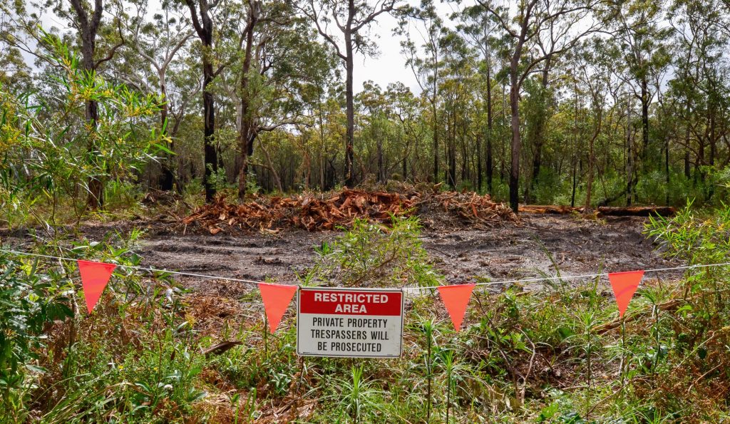 Forest clearing site at Edendale street, Wollamia, south coast of NSW, hundreds of trees have been felled to make room for a Zombie development that was approved about 20 years ago