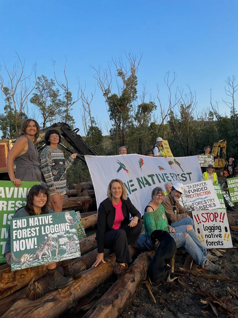NSW Greens MP Sue Higginson with local group protesting native forest logging at Shallow Crossing